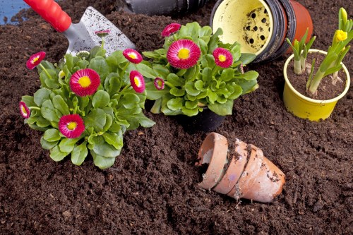 Gardener preparing tools outdoors