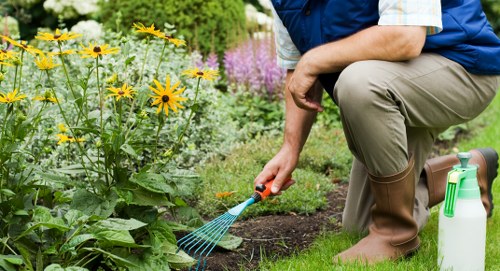 Close-up of a gardener inspecting plant health in an urban garden
