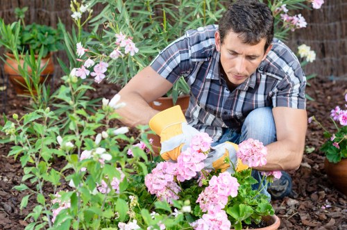Manager reviewing records with a gardener during site inspection