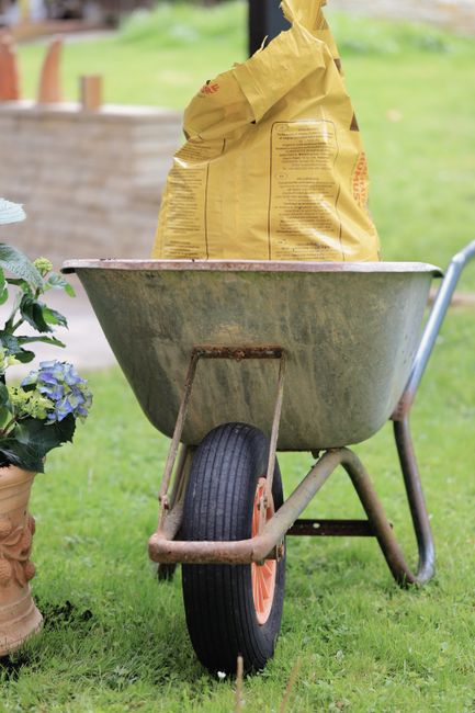 A weathered wheelbarrow made of metal with a single black rubber tire and orange wheel hub, positioned on a well-maintained green lawn. The wheelbarrow contains a large beige paper bag, possibly fille